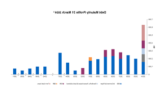 Graph of debt maturity profile